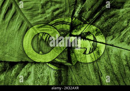 icone circolari economiche Foto Stock