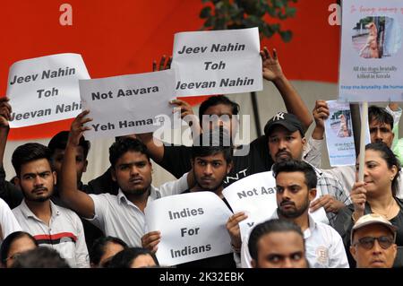 Nuova Delhi, Delhi, India. 24th Set, 2022. Gli amanti degli animali domestici e degli animali delle Indie degli Indiani in silet protestano contro gli animali abues e hanno chiesto protezione di constitution degli animali, a jantar mantar, a Nuova Delhi il sabato (immagine di accreditamento: © Ravi Batra/ZUMA Press Wire) accreditamento: ZUMA Press, Inc./Alamy Live News Foto Stock