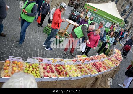 Halle, Germania. 24th Set, 2022. 24 settembre 2022, Sassonia-Anhalt, Halle (Saale): È in mostra un'ampia selezione di diverse varietà di mele. I coltivatori di frutta della regione distribuivano frutta gratuita ai passanti presso il Leipziger Turm di Halle. Lo scopo della campagna è raggiungere la frutta regionale. La raccolta delle mele è iniziata alla fine di agosto. Foto: Heiko Rebsch/dpa Credit: dpa Picture Alliance/Alamy Live News Foto Stock