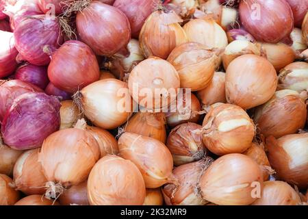 tipi diversi di cipolle fresche sul mercato Foto Stock
