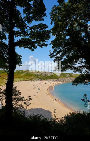 Barafundle Bay a Pembrokeshire è ampiamente considerata come una delle spiagge più belle in Gran Bretagna Foto Stock