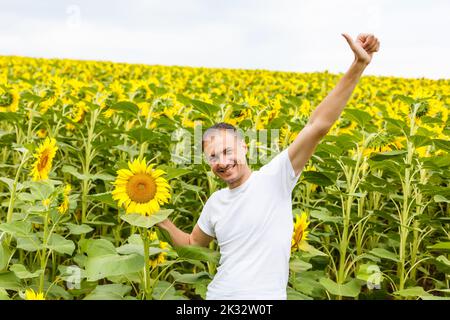 Coltivatore soddisfatto in un campo di girasole che guarda i semi di girasole . Spazio di copia, luce parassita dell'obiettivo, luce del tramonto Foto Stock