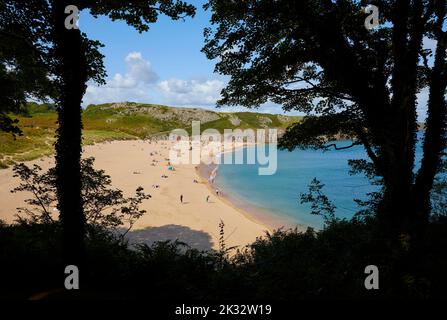 Barafundle Bay a Pembrokeshire è ampiamente considerata come una delle spiagge più belle in Gran Bretagna Foto Stock