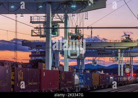 Wien, Vienna: Movimentazione gru a portale nel terminal container del porto Freudenau, azienda WienCont, linea ferroviaria, transporto strada per ferrovia e viceversa Foto Stock