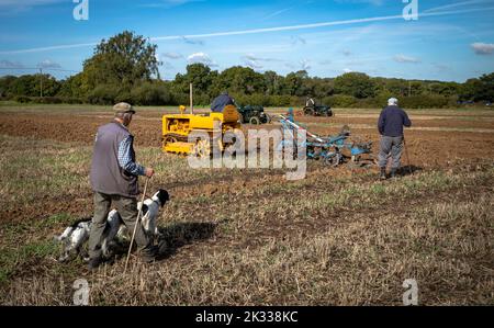 La gente guarda come un concorrente in una tradizionale partita di aratura agricola siede sul suo trattore cingolato cingolato Caterpillar vintage arando la sua zona presso Oakhurst Farm, vicino Billingshurst, West Sussex, Regno Unito, 24 settembre, 2022. Le partite di aratura sono popolari nelle comunità rurali e agricole britanniche e si svolgono ogni autunno dopo il completamento del raccolto. Credit: Andy Soloman/Alamy Live News Foto Stock