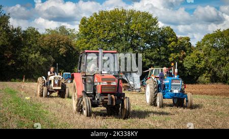 I concorrenti di una tradizionale partita di aratura agricola guidano i loro trattori d'epoca dopo aver finito di arare le loro aree presso l'Oakhurst Farm, vicino a Billingshurst, il 24 settembre 2022. Le partite di aratura sono popolari nelle comunità rurali e agricole britanniche e si svolgono ogni autunno dopo il completamento della raccolta. Credit: Andy Soloman/Alamy Live News Foto Stock