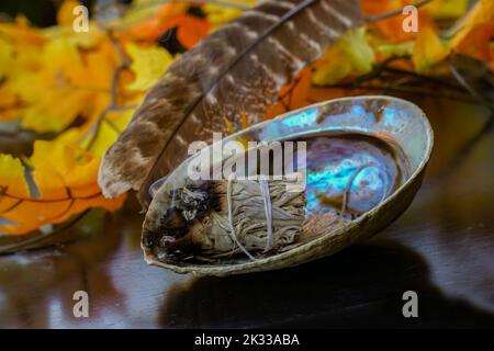 salvia bruciante in guscio di abalone per meditare Foto Stock