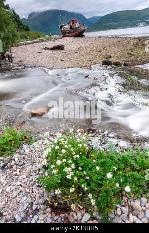 L'acqua scorre da un ruscello alla riva del Loch Linnhe, vicino alla nave da pesca, attraverso la spiaggia di Caol, con ben Nevis come sfondo, vicino a Fo Foto Stock