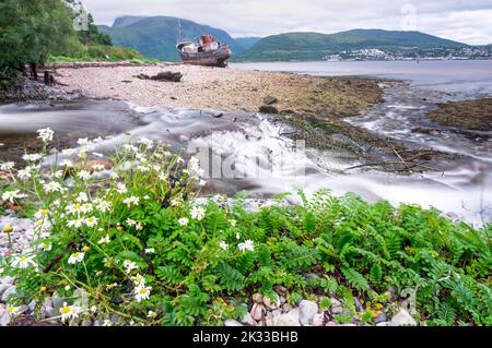 L'acqua scorre da un ruscello alla riva del Loch Linnhe, vicino alla nave da pesca, attraverso la spiaggia di Caol, con ben Nevis come sfondo, vicino a Fo Foto Stock