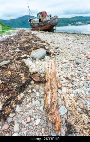 Driftwood sulla spiaggia di pietra di Caol che circonda il peschereccio a trefolo, vicino a Loch Linnhe, con ben Nevis come sfondo, vicino a Fort William in t Foto Stock