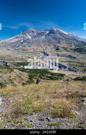 Vista panoramica su Mount St. Helens, Skamania County, Washington, Stati Uniti Foto Stock