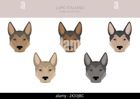 Lupo Italiano clipart. Set di diversi colori del rivestimento. Illustrazione vettoriale Illustrazione Vettoriale