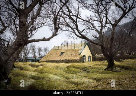 Erba sintetica islandese vecchia chiesa in legno a Hof. Islanda Foto Stock