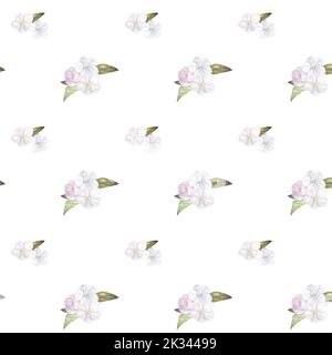 acquerello senza cuciture con fiori e foglie bianchi Foto Stock