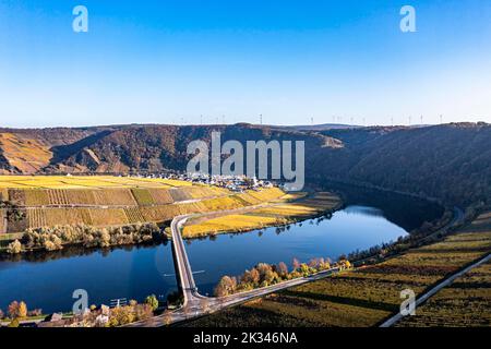 Veduta aerea, Germania, Renania-Palatinato, regione Minheim Piesport Bernkastel-Wittlich, Minheim Piesport, Mosella, vigneti in autunno Foto Stock