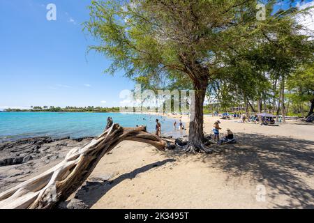 "Anaeho'omalu Beach, Waikoloa, Big Island, Hawaii, Stati Uniti, Nord America Foto Stock