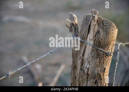 Un primo piano di un palo di legno su una recinzione con corda Foto Stock