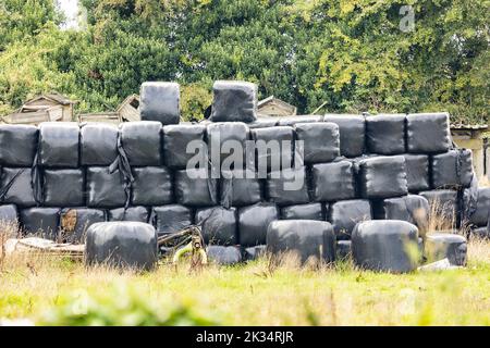 Balle di fieno rivestite in plastica nera, impilate pronte per l'uso invernale Foto Stock