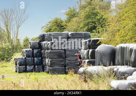 Balle di fieno rivestite in plastica nera, impilate pronte per l'uso invernale Foto Stock