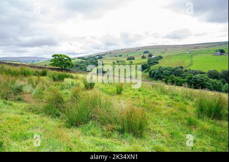 Passeggiata Pennine Way vicino Cumbria. I paesaggi intorno alla città di Alston, il più alto insediamento di mercato in Inghilterra, fuoco selettivo Foto Stock