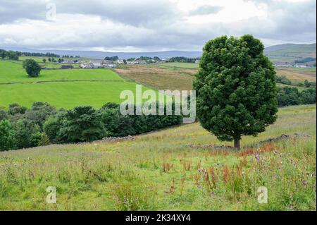 Passeggiata Pennine Way vicino Cumbria. I paesaggi intorno alla città di Alston, il più alto insediamento di mercato in Inghilterra, fuoco selettivo Foto Stock