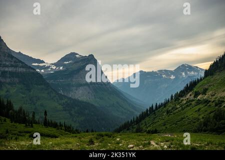 Si affaccia sulla valle appena sotto il Logan Pass nel Glacier National Park Foto Stock