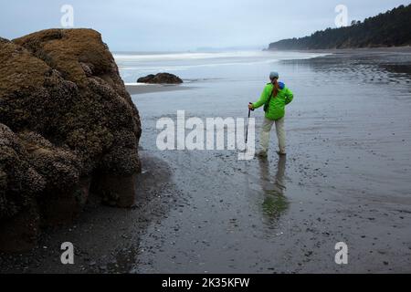 Escursionista sulla spiaggia 4 a Kalaloch, Olympic National Park, Washington Foto Stock