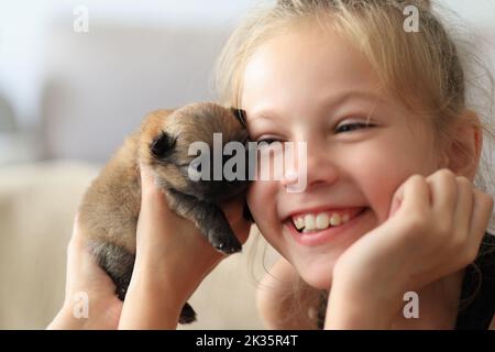 Felice bambina dà e puppy pomeranian Foto Stock