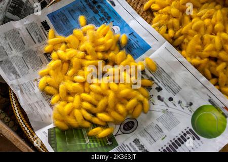 Un mucchio di seta cacoons in un giornale. (News stampa è sfocata out) Foto Stock