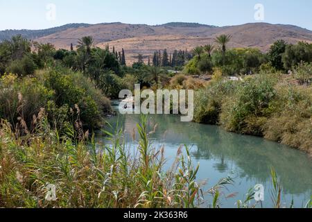 Vista di una piscina naturale di acqua di sorgente del torrente Amal che attraversa il Parco Nazionale di Gan HaShlosha, conosciuto anche con il suo nome arabo Sakhne in Israele Foto Stock