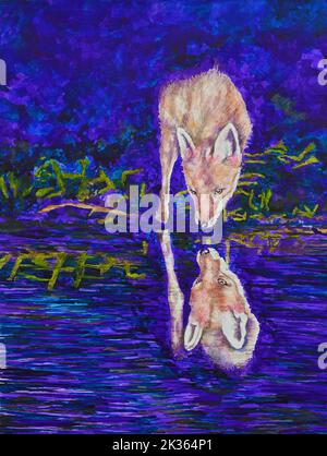 Pittura di Fox con riflessione in acqua Foto Stock