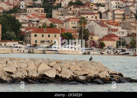 Un bellissimo scatto di un gabbiano seduto su un frangiflutti con lo sfondo del paesaggio urbano di Stobrec Foto Stock