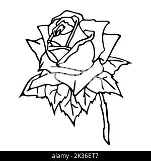 immagine di un contorno nero di un fiore su uno sfondo bianco primo piano, arte, design Foto Stock
