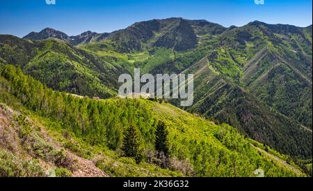 Butterfield Peaks, vista dalla strada verso West Mountain Overlook, vicino alla miniera di rame Kennecott, oltre Butterfield Pass, Oquirrh Mtns, vicino a Tooele, Utah, STATI UNITI Foto Stock