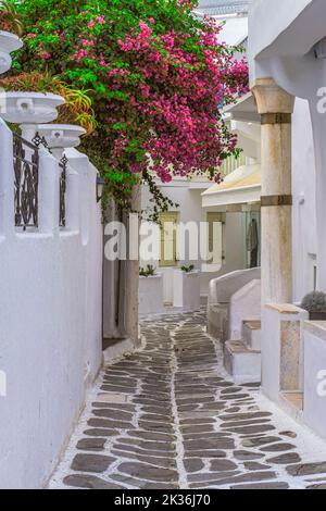 Vuoto ciottoli tradizionale vicolo punteggiato con case bianche e una grande bouganvillea fiorita sull'isola greca delle Cicladi di Mykonos. Foto Stock