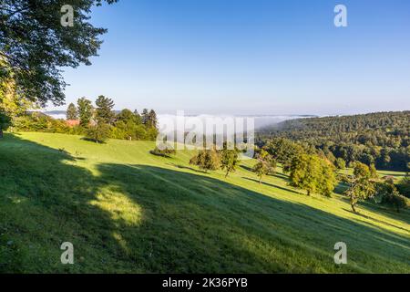 Basilica Vierzehnheiligen visto dal 'Giardino di Dio'. Bad Staffelstein, Germania Foto Stock