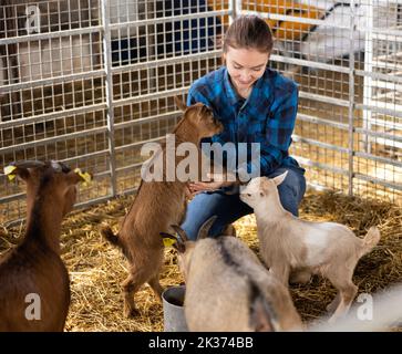 Giovane agricoltrice che gioca con i giovani in stalla Foto Stock