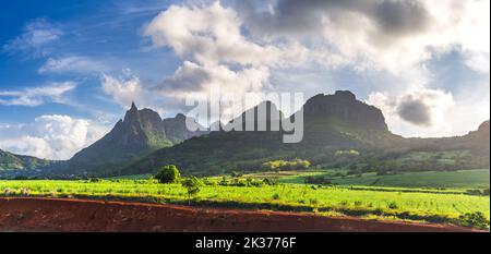 Campo di canna da zucchero con Pietro entrambi sullo sfondo. Cielo azzurro nell'isola di mauritius, Africa Foto Stock