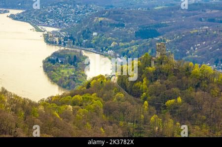 Vista aerea, Drachenfels, rovine del castello medievale con vista sulla valle del Reno e sull'isola di Nonnenwerth, Drachenfelsbahn, Königswinter, Renania settentrionale Foto Stock
