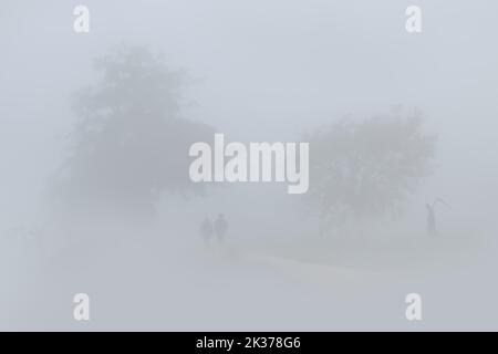 Il mietitore nella nebbia in attesa di una vecchia coppia Foto Stock