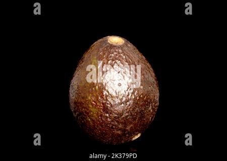 Un avocado maturo, macro, isolato su sfondo nero. Foto Stock