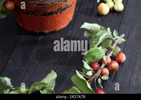 Un primo piano di un ramo di frutta di Malus prunifolia su un tavolo di legno Foto Stock