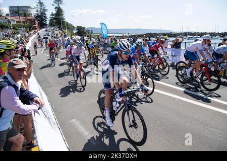 25th settembre 2022; Wollongong, Illawarra, Galles del Sud, Australia: UCI World Road Cycling Championships, il peloton entra nel centro della città lungo il litorale durante l'Elite Mens Road Race Foto Stock