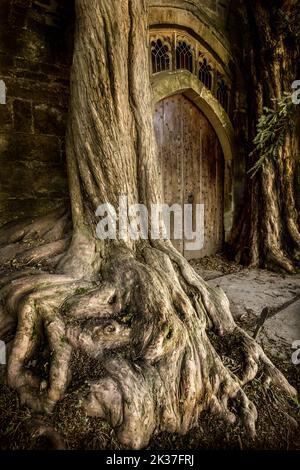 Yew Trees fiancheggiante la porta della chiesa parrocchiale di St Edwards Stow on the Wold Gloucestershire ha detto di essere l'ispirazione per la porta di Tolkien Moria? Foto Stock
