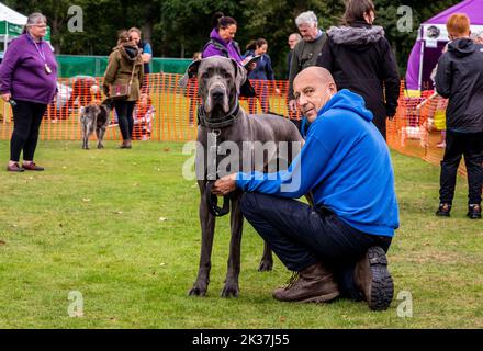 Follifoot, vicino Harrogate, North Yorkshire, 25th settembre 2022. Il Folllifoot Dog Festival dove gli amanti del cane hanno potuto mostrare i loro amati animali domestici oggi. Picture Credit: ernesto rogata/Alamy Live News Foto Stock