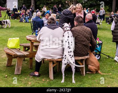 Follifoot, vicino Harrogate, North Yorkshire, 25th settembre 2022. Il Folllifoot Dog Festival dove gli amanti del cane hanno potuto mostrare i loro amati animali domestici oggi. Picture Credit: ernesto rogata/Alamy Live News Foto Stock