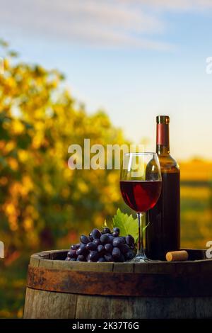 bicchiere di vino rosso e uva in botte di legno con vigneto Foto Stock