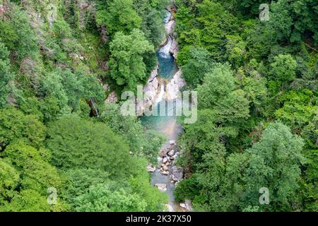 Okatse Canyon con il fiume Okatse in Georgia, lussureggiante e vibrante vegetazione verde e foreste con il fiume visto dall'alto. Foto Stock