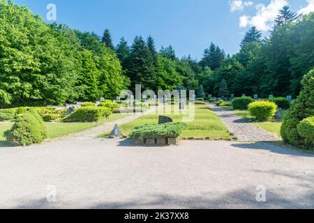 Vysny Komarnik, Slovacchia - 12 giugno 2022: Cimitero dell'esercito cecoslovacco a Dukla. Foto Stock