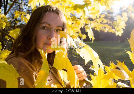 Ritratto di una bella giovane donna in bicchieri rotondi tra foglie di acero giallo nel giorno di sole d'autunno. Foto Stock